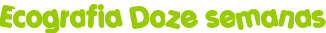 Ecografia Doze semanas