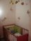 Le lit de la puce