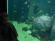 Aquarium